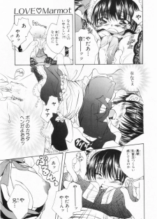 [Yuuki Rion] Love Marmot - page 14