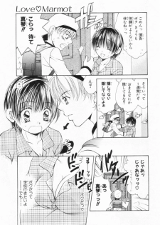 [Yuuki Rion] Love Marmot - page 28