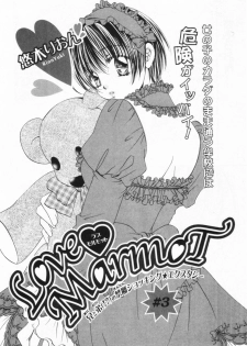 [Yuuki Rion] Love Marmot - page 45