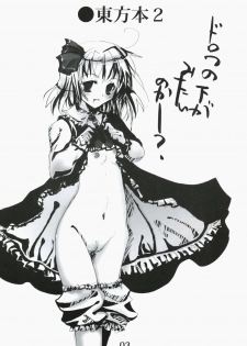 [Burning -Soul] Touhou hon 2 (Touhou) - page 2