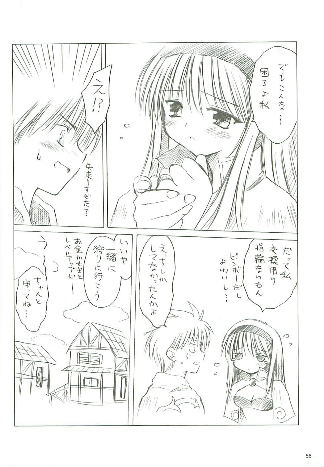 (USA5) [Mizukidou (Mizuki Takehito)] Dengeki Ragna - Electric Ragnarok (Ragnarok Online) page 57 full