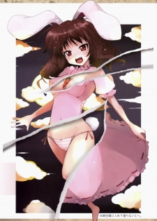 (CT13) [Shiinotomoshibitake (Ippongui)] Touhou Mougaroku (Touhou Project) - page 12
