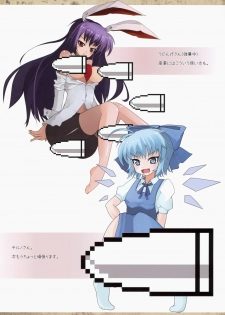 (CT13) [Shiinotomoshibitake (Ippongui)] Touhou Mougaroku (Touhou Project) - page 7