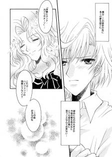 (C66) [Kotori Jimusho (Sakura Bunchou)] Kono inochi dare no mono (Sailor Moon) - page 10