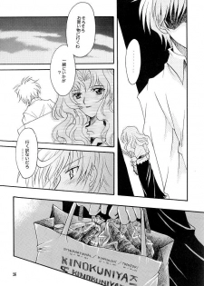 (C66) [Kotori Jimusho (Sakura Bunchou)] Kono inochi dare no mono (Sailor Moon) - page 24