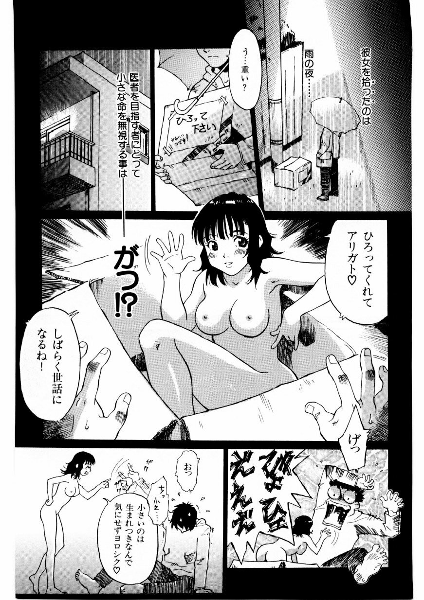 [Yamanobe Kitta] Boku no Alice Tachi | Alice My Lovers page 148 full