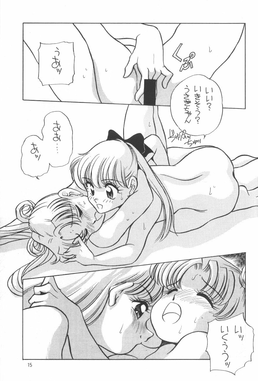 (C44) [Shishamo House (Araki Akira)] Elfin 8 (Bishoujo Senshi Sailor Moon, Dragon Ball) page 14 full