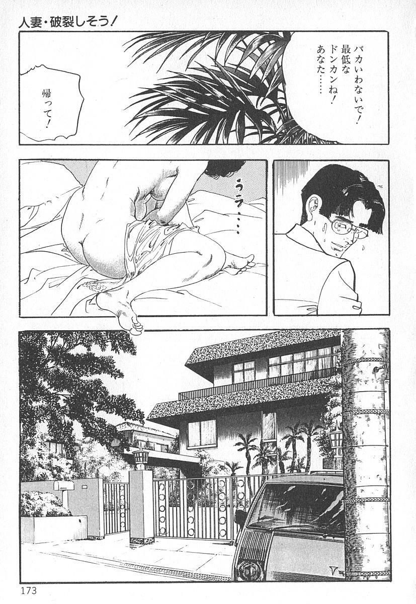 [Ken Tsukikage] Okusama wa Urezakari page 177 full