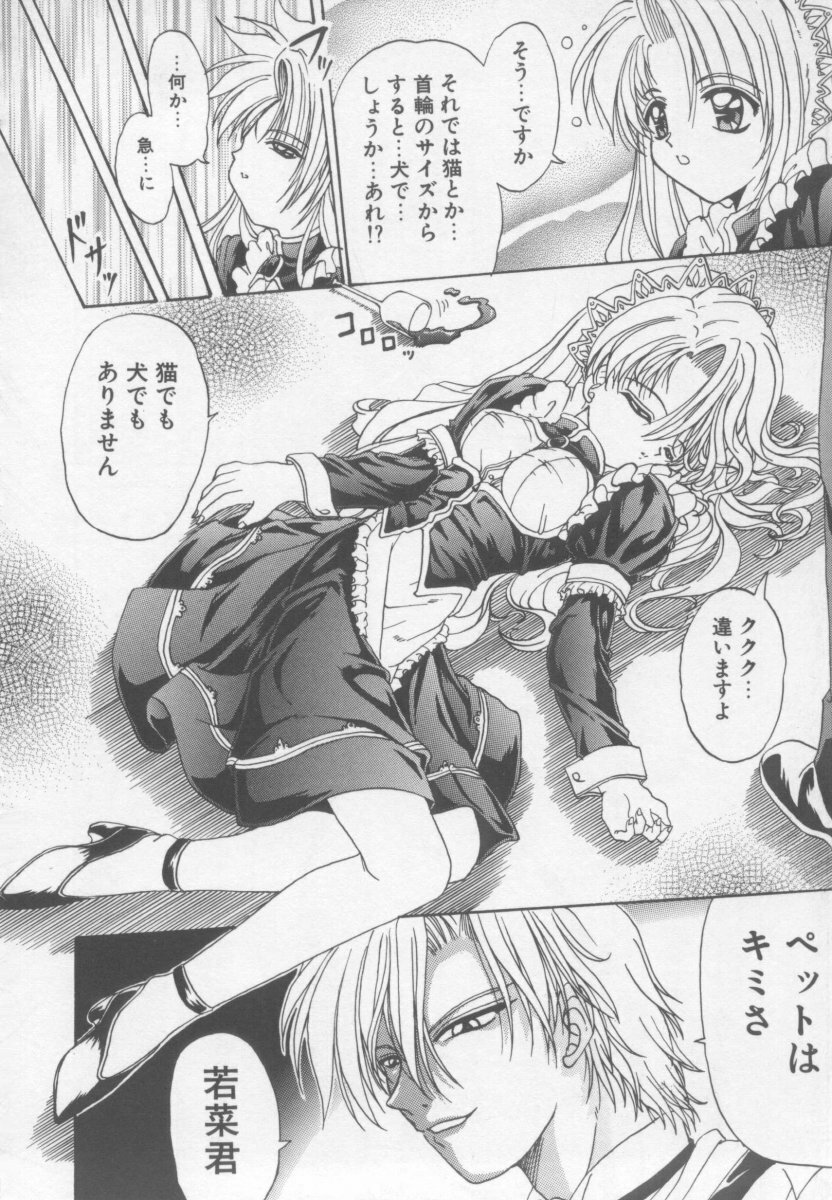 [Kotogi Raura] Xday Evolution page 126 full