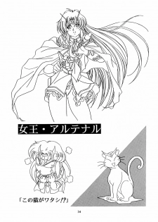 (C46)[Henrei-kai (Kawarajima Koh)] Chaos Create Kawarajima Koh Datafile - page 33