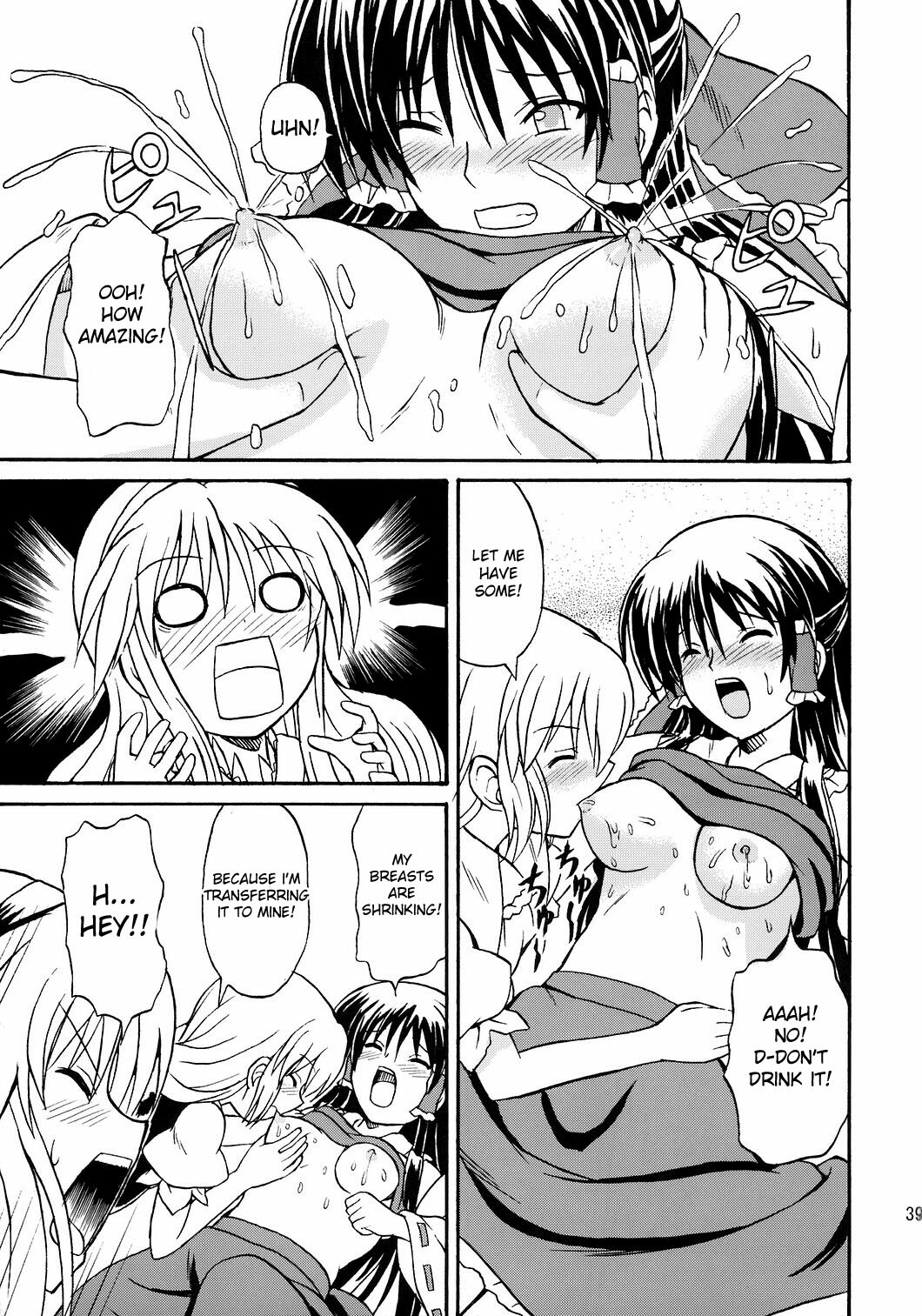 (Reitaisai 4) [Takakuya (Takaku Toshihiko)] Touhou Youjo Ranbu 8 | Touhou Enchantresses’ Dance 8 (Touhou Project) [English] page 39 full