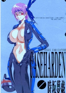 (C56) [Timest (Mugi Tokisaka)] Caseharden (Dead or Alive)