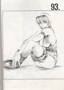 (C56) [Timest (Mugi Tokisaka)] Caseharden (Dead or Alive) - page 3