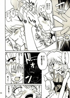 (Reitaisai 2) [Takakuya (Takaku Toshihiko)] Touhou Youjo Ranbu 2 (Touhou Project) - page 33