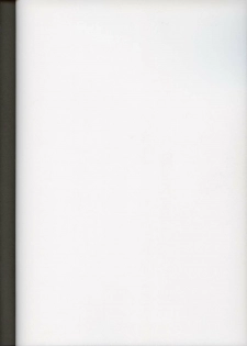 (CR33) [Secret Society M (Kitahara Aki)] Utahime no Shouzou 3 (Dead or Alive) - page 2