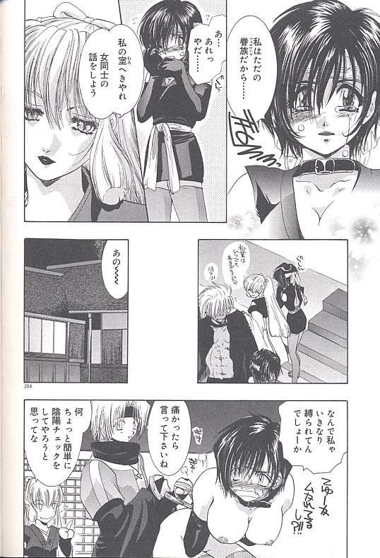 [U-K] Yukizakura Shinjitsu to Gensou to page 207 full