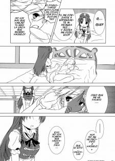 (C69) [Gutenberg no Musume (KnightO Satoshi)] Kajin Komusume Chuuka na Ipanema | Bloom Human Serving (Touhou Project) [Spanish] [Touhou Hentai] - page 15