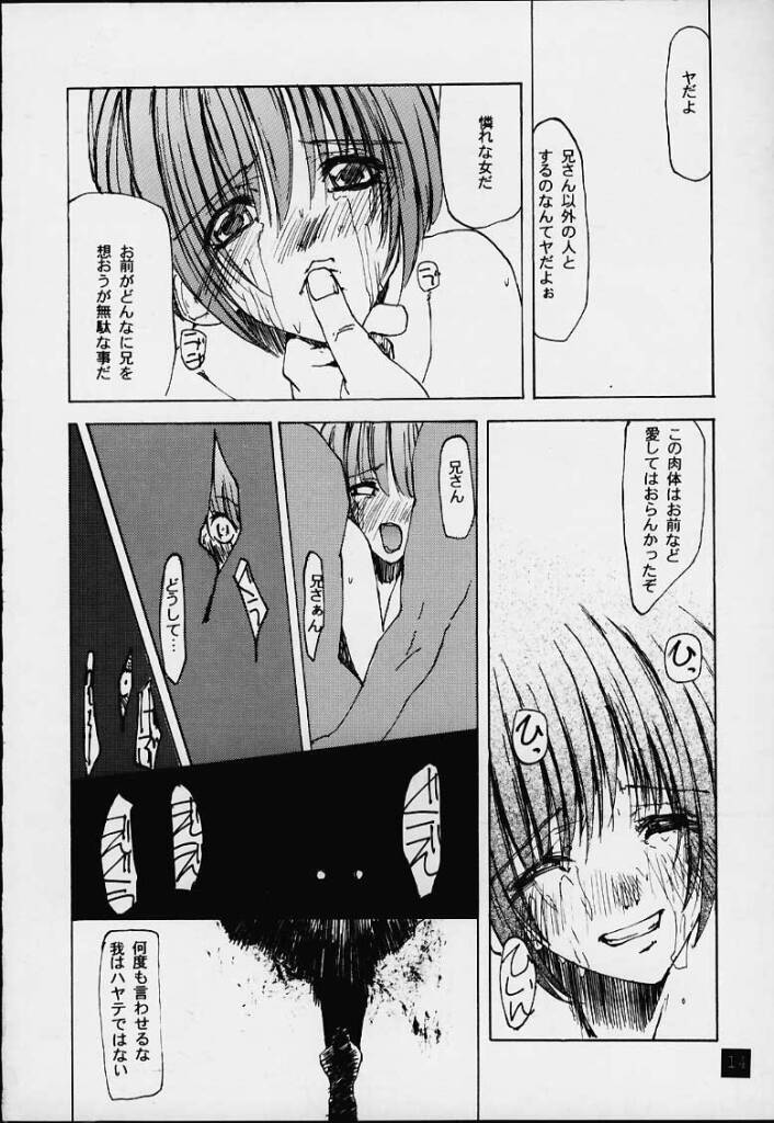 (C59) [Yuuhodou (TekuTeku)] lovers day (Dead or Alive) page 13 full