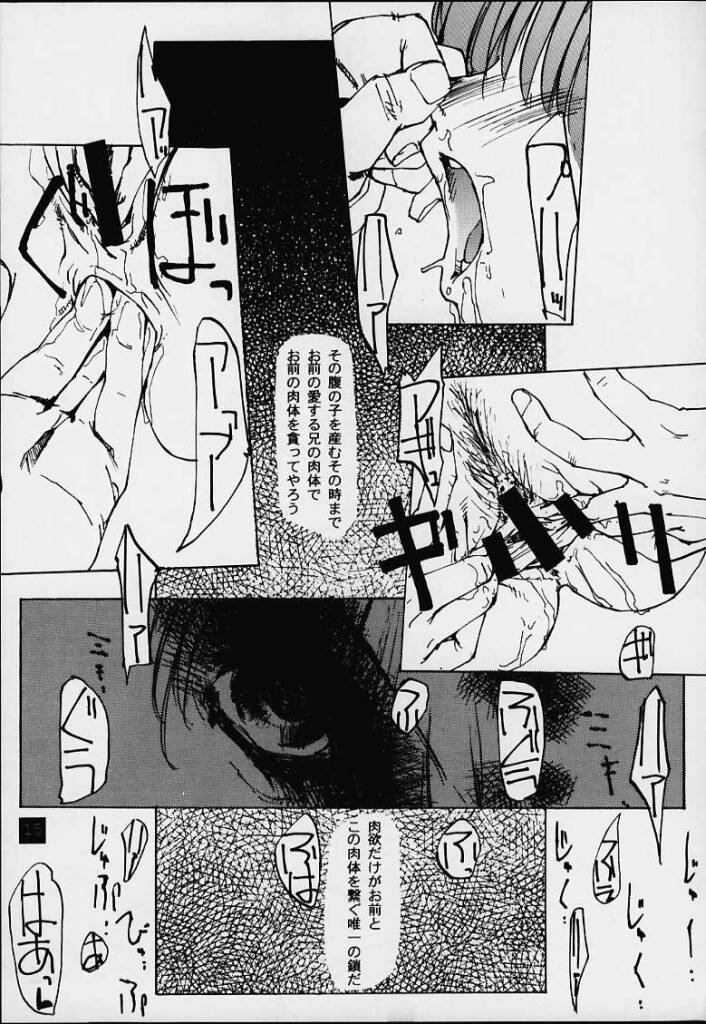 (C59) [Yuuhodou (TekuTeku)] lovers day (Dead or Alive) page 14 full