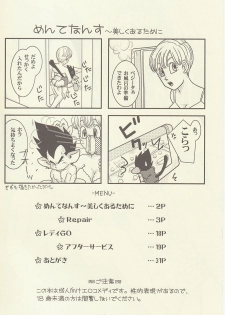 maitenence 2 - page 3