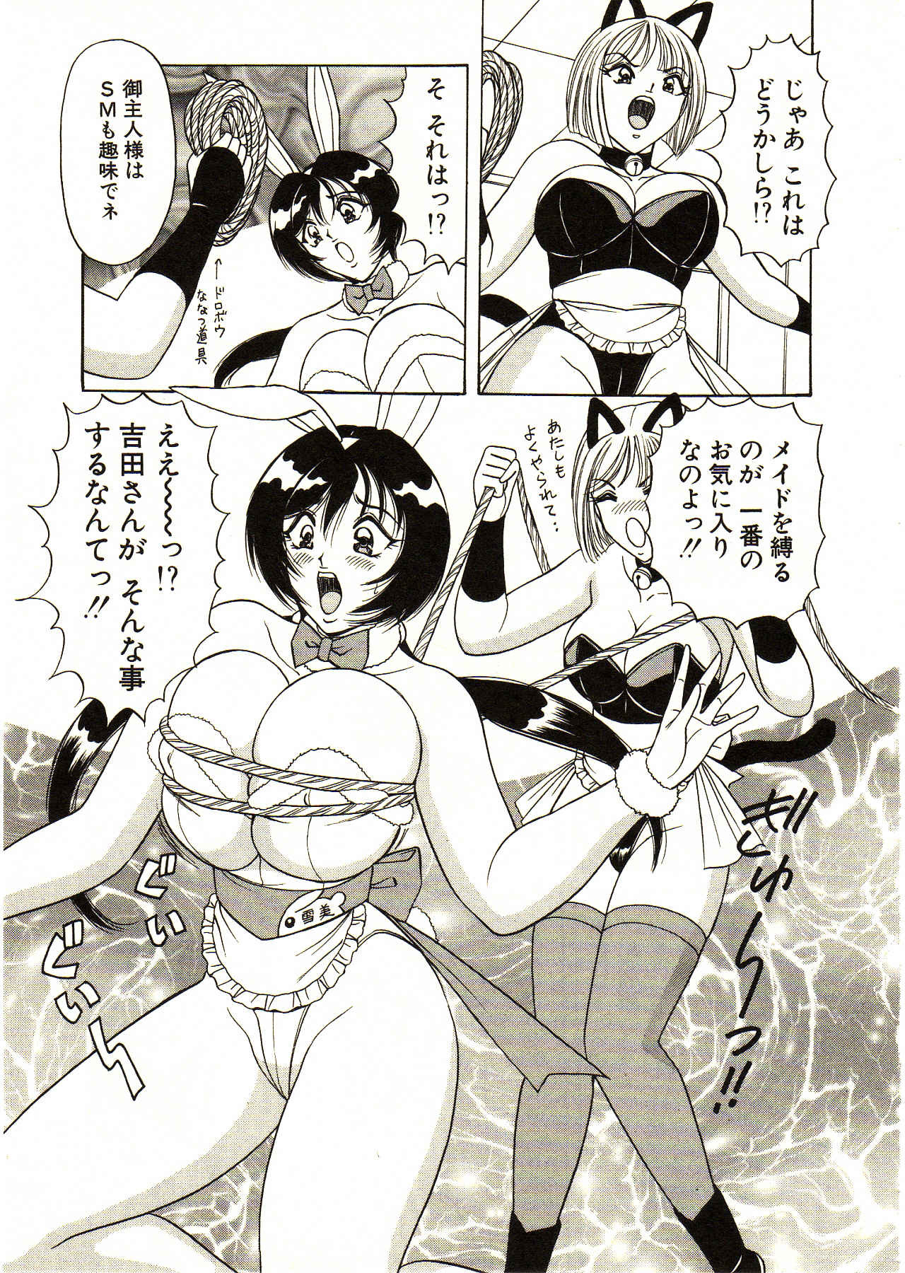 [Monota Rinu] Itoshi no Bunny Maid page 159 full