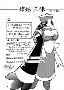 (SC14) [Furuya (TAKE)] Shimai Zanmai (Darkstalkers, Samurai Spirits) - page 2