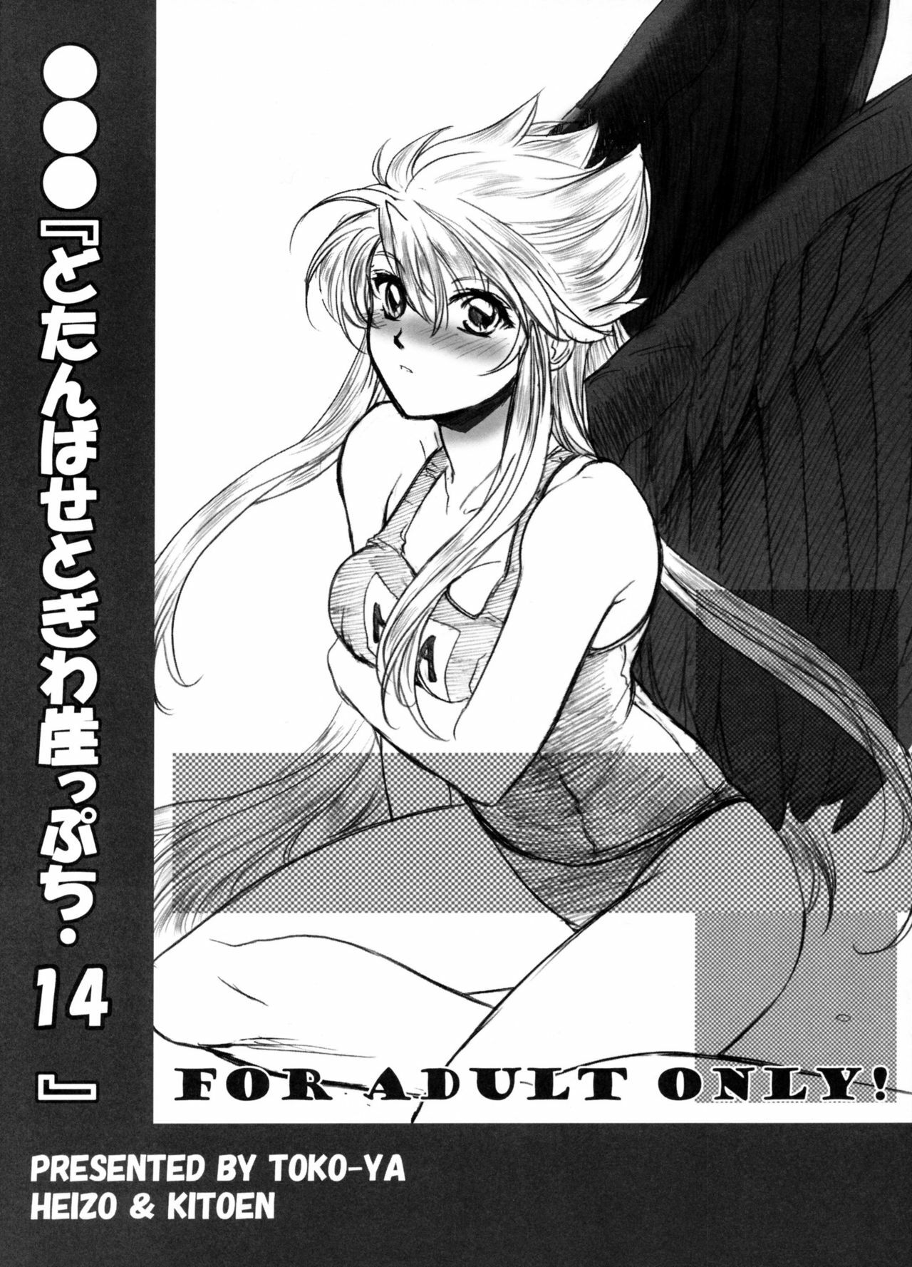 (C74) [Toko-ya (HEIZO, Kitoen)] Dotanba Setogiwa Gakeppuchi 14 (Breath of Fire II) page 1 full