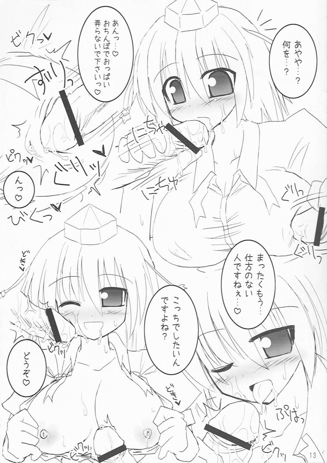 (C74) [ZERO-ONE (Arayama Reiichi)] Shinsei Ringo Sakuryaku Shoukougun (Touhou Project) page 12 full