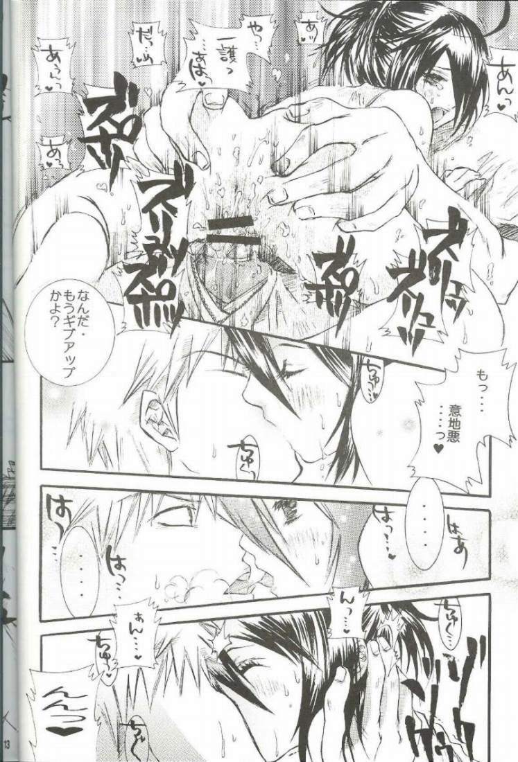 (C66) [PONCHEES (Kari) (Irohane Sui)] PIKA☆☆NCHI (Bleach) page 11 full