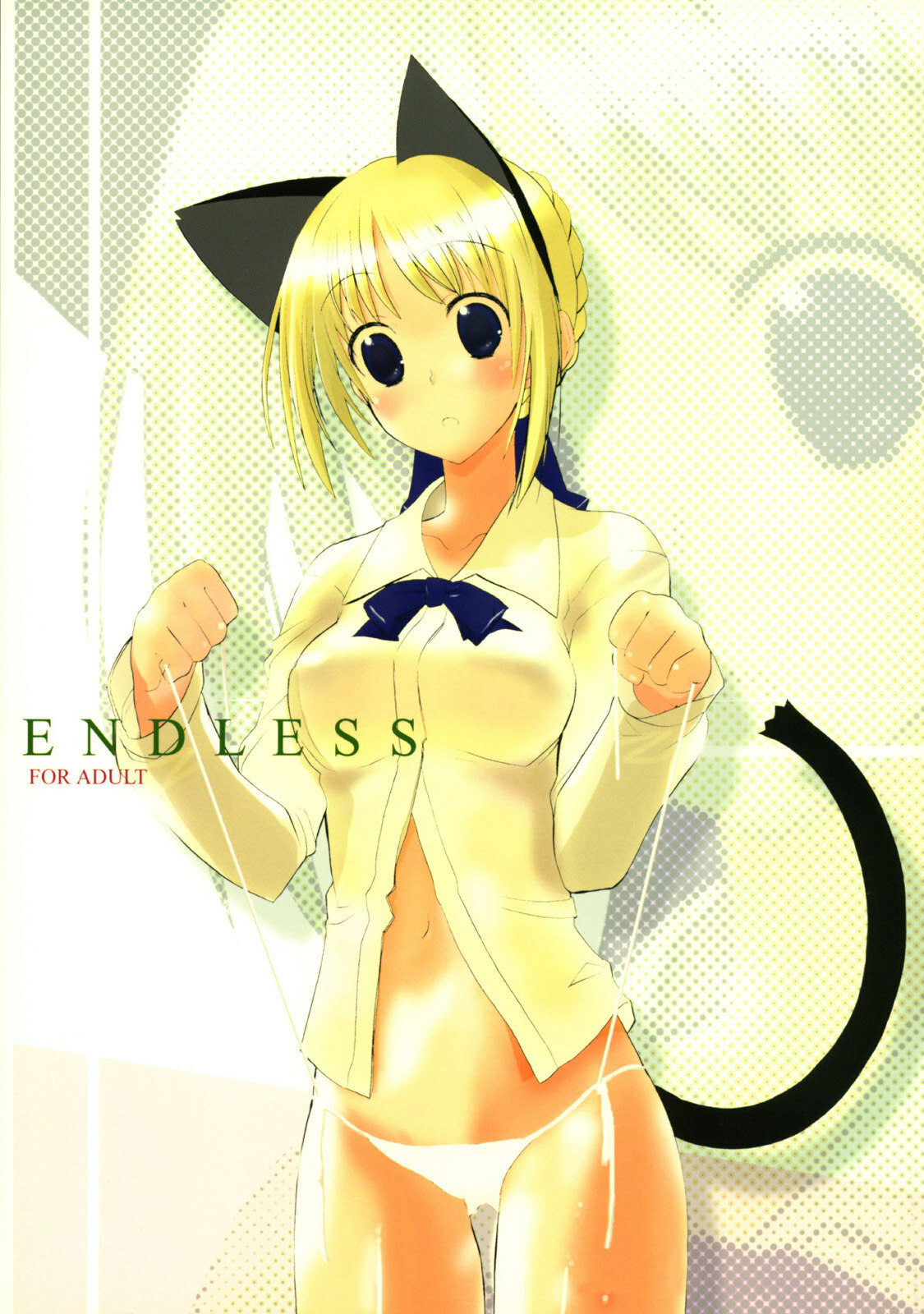 (Mimiket 11) [Chinnmokunogazinn (materiarucou)] ENDLESS (Fate stay/night) page 2 full