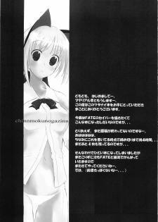 (Mimiket 11) [Chinnmokunogazinn (materiarucou)] ENDLESS (Fate stay/night) - page 6