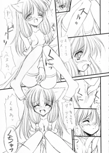 (C66) [Ashuraya (Kushida Ashura)] Pulirula (Ragnarok Online) - page 12