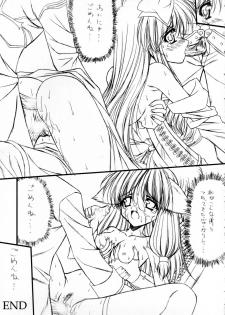 (C66) [Ashuraya (Kushida Ashura)] Pulirula (Ragnarok Online) - page 22