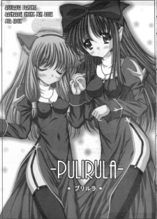 (C66) [Ashuraya (Kushida Ashura)] Pulirula (Ragnarok Online) - page 2