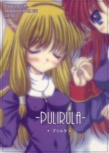 (C66) [Ashuraya (Kushida Ashura)] Pulirula (Ragnarok Online) - page 34