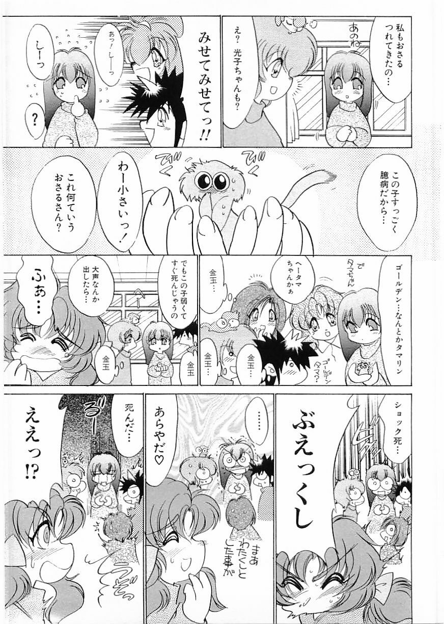 Flamingo 2000-02 page 171 full
