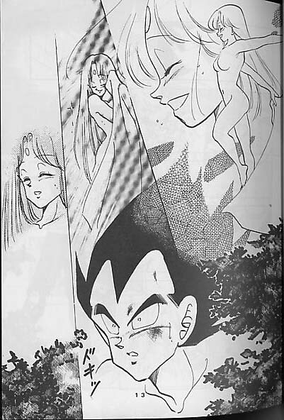 (C41) [Mixed Vegetable (Tendou Wataru)] Madonna-tachi no Lullaby (Dragon Ball Z) [Incomplete] page 13 full