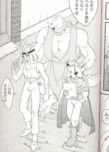 [Ginmomodou (Mita Satomi)] Slayers Adult 7 (Slayers) - page 39