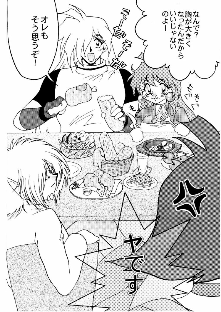 (C57) [Ginmomodou (Mita Satomi)] Slayers Adult 10 (Slayers) page 5 full