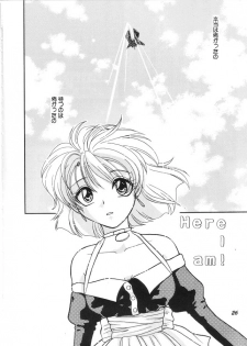 (C58) [SHEEPCLOUD (Hitsujiko)] NEO (Lost Universe) - page 25