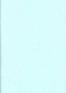 (C59) [HAND BOMB (Hippopotamus)] Hiyoko (Ruin Explorers) - page 2