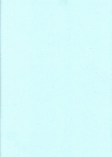 (C59) [HAND BOMB (Hippopotamus)] Hiyoko (Ruin Explorers) - page 31