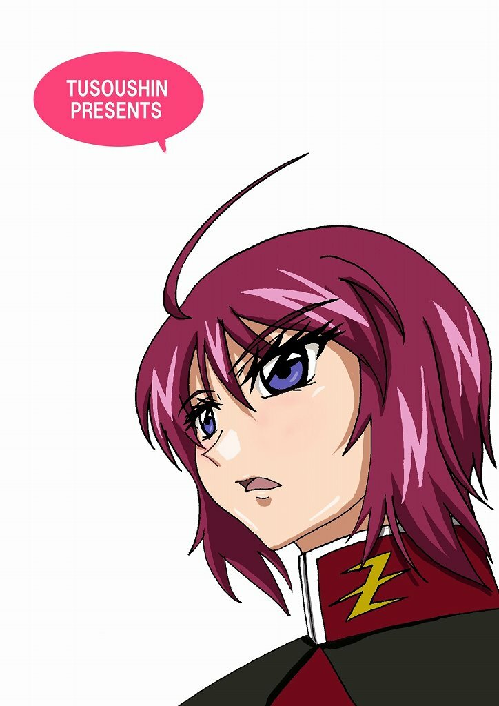 (C67) [TOUSOUSHIN (Spanking Samurai)] Mousou Dairi Chou Mini Destiny (Gundam SEED DESTINY) page 12 full