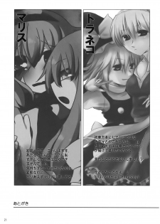 (C75) [Silver＊Garden (Toraneko, Marisu)] Alice Oishii Desu ^p^ (Touhou Project) - page 21