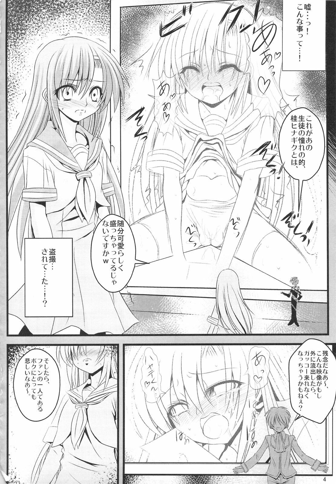 (COMIC1☆3) [Rikudou Juku (Ai ha muteki)] Ochita Hina Chiru Rangiku (Hayate no Gotoku!) page 3 full