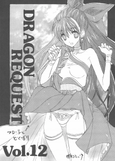 (Mimiket 20) [ZINZIN (Hagure Metal)] DRAGON REQUEST Vol. 12 (Dragon Quest V)