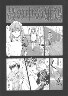 (C57) [STUDIO RUNAWAY WOLF (Nakajima Akihiko)] Miko vs Maid No. 3 (Various) - page 16
