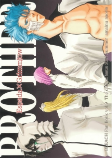(SUPERKansai13) [Amainu (Naorin)] Brother Junbigou (Bleach) - page 18
