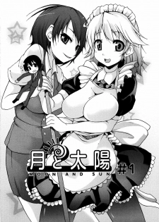 [Syati Kamaboko] Tsuki to Taiyou - page 29