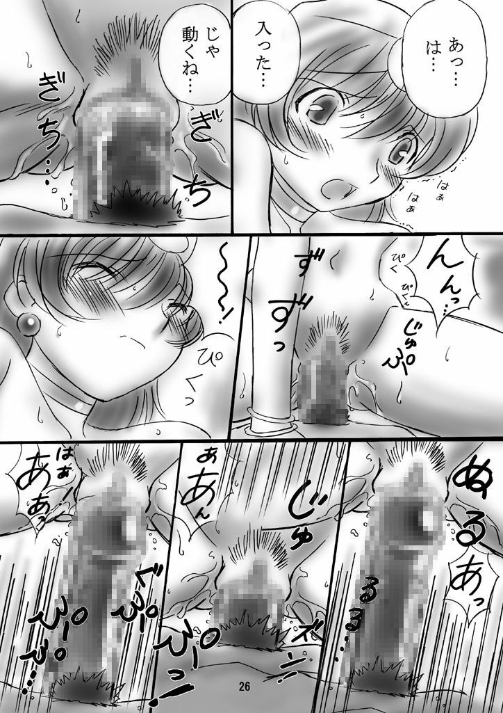 (C66) [Dark RoseEX-S (Hirooki)] JOB STAR 2 (Final Fantasy V) page 25 full